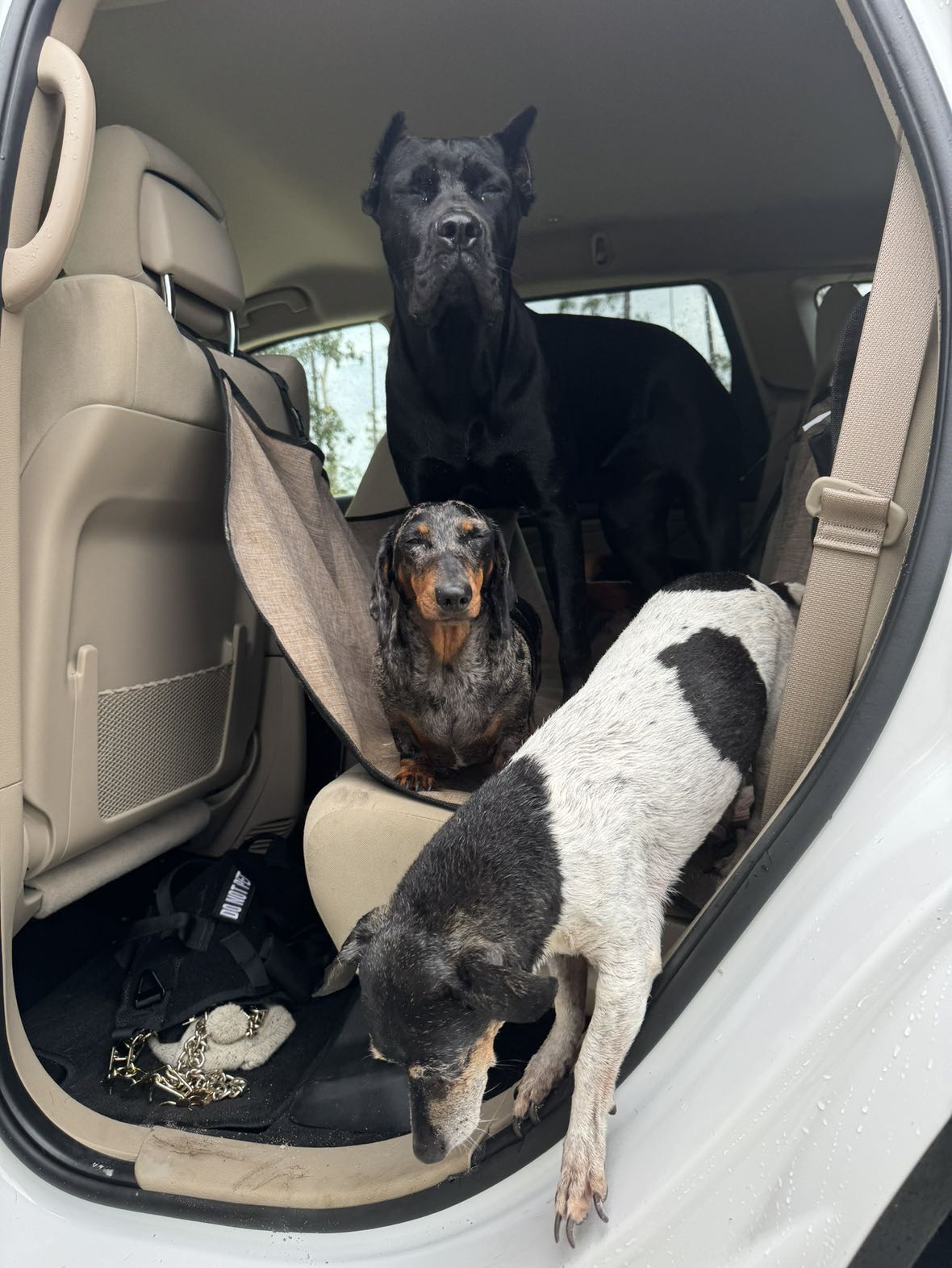 mckinley_1 snapchat image archive image