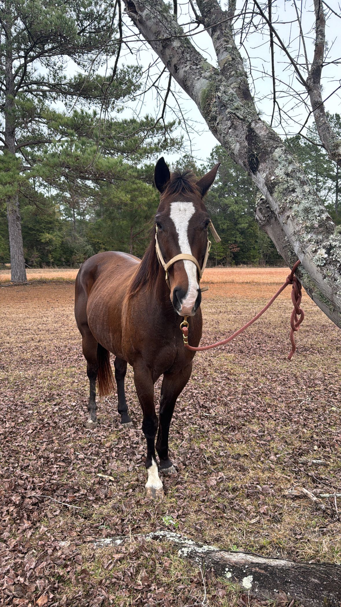 mckinley_1 snapchat image archive image