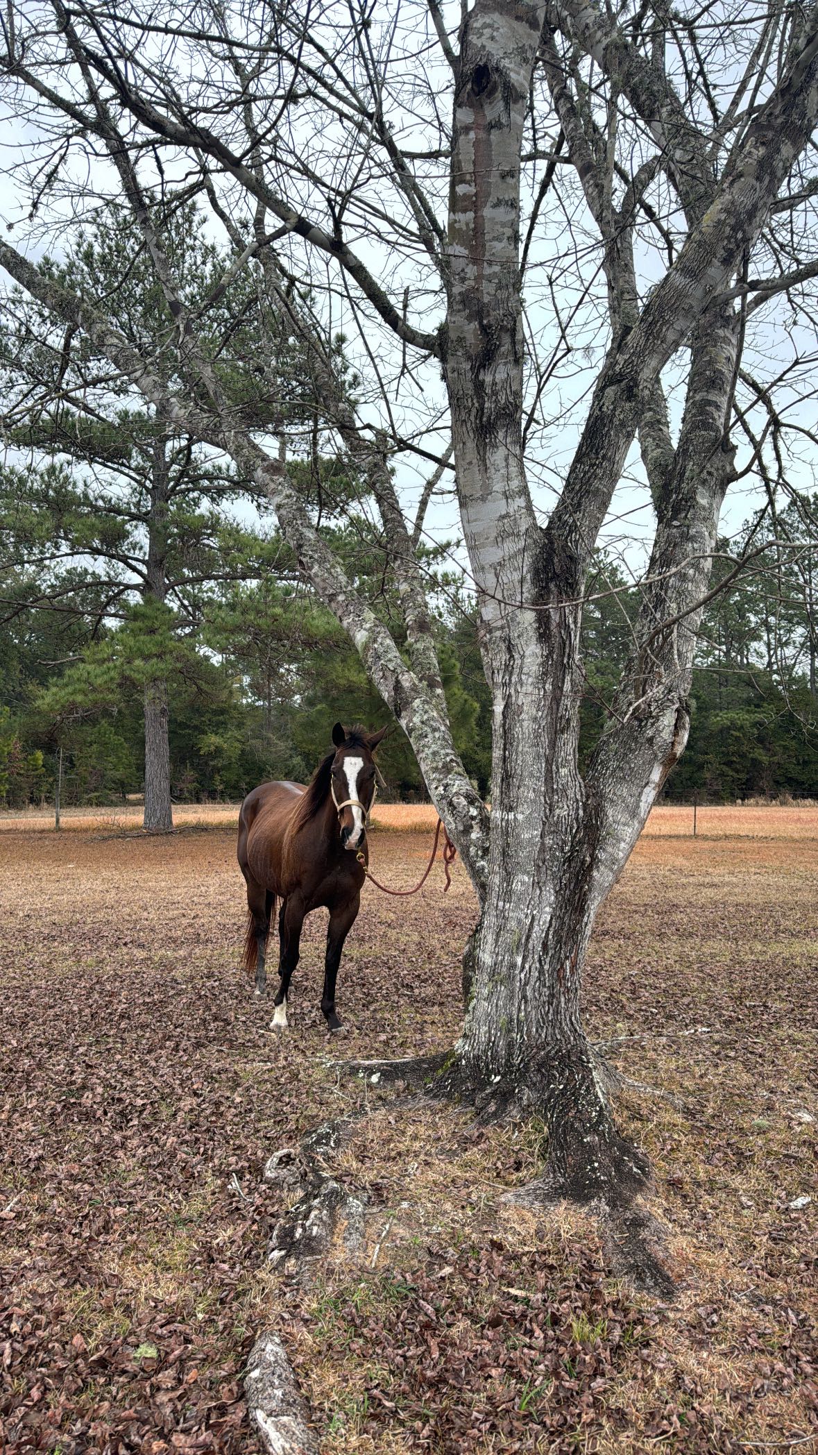 mckinley_1 snapchat image archive image