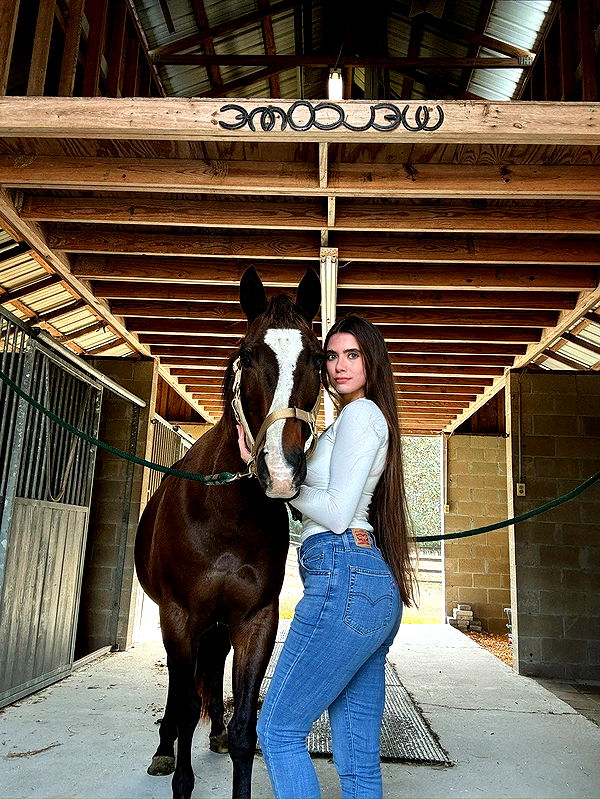 mckinley_1 image ~ Altpins