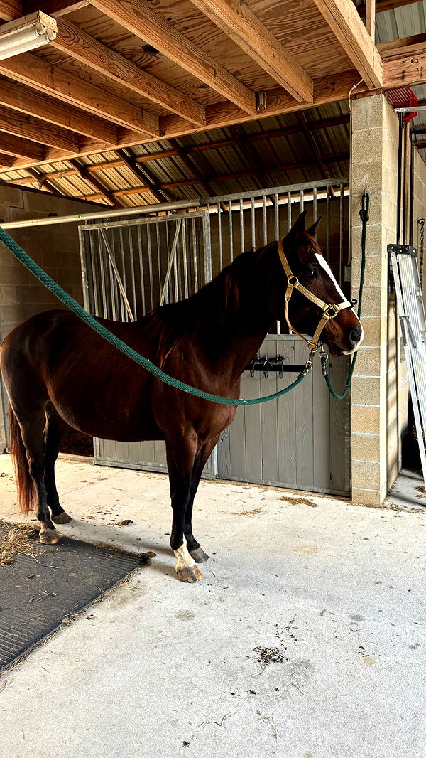 mckinley_1 image ~ Altpins