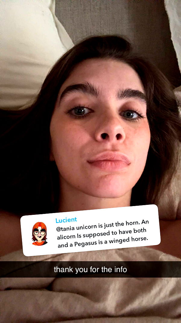 mckinley_1 image ~ Altpins