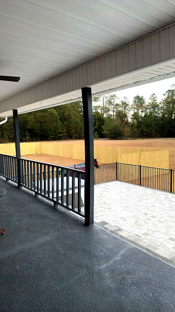 mckinley_1 image ~ Altpins