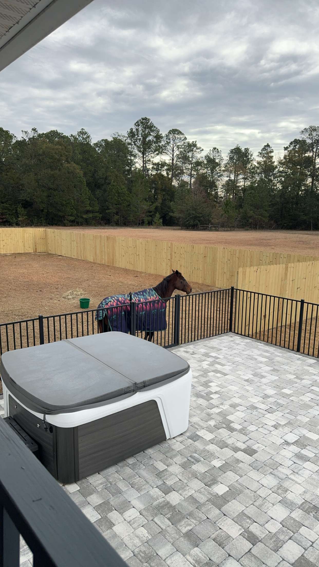 mckinley_1 snapchat image archive image