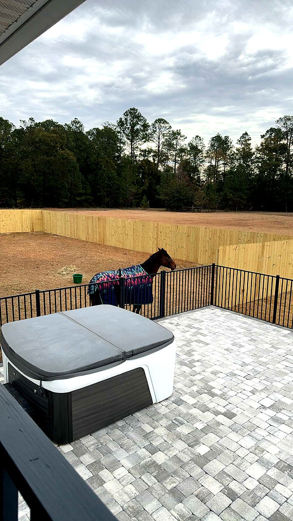 mckinley_1 image ~ Altpins