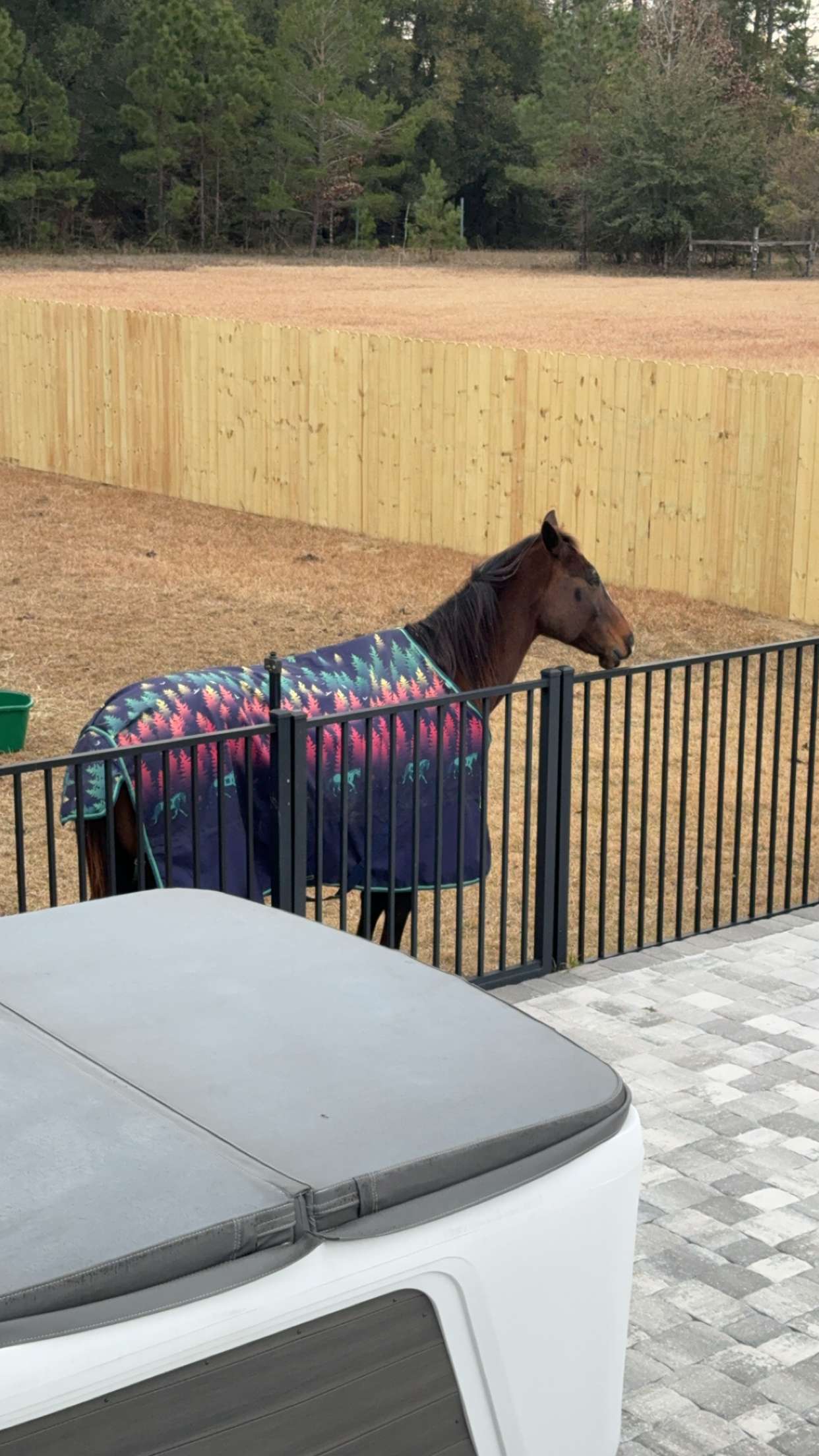 mckinley_1 snapchat image archive image