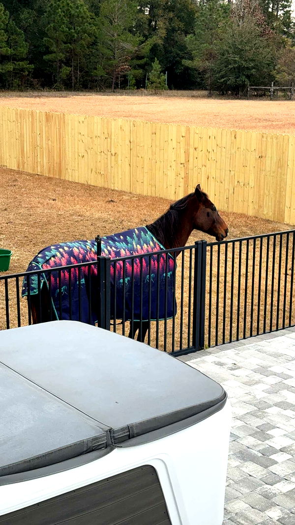 mckinley_1 image ~ Altpins