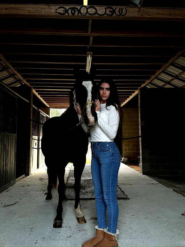 mckinley_1 image ~ Altpins