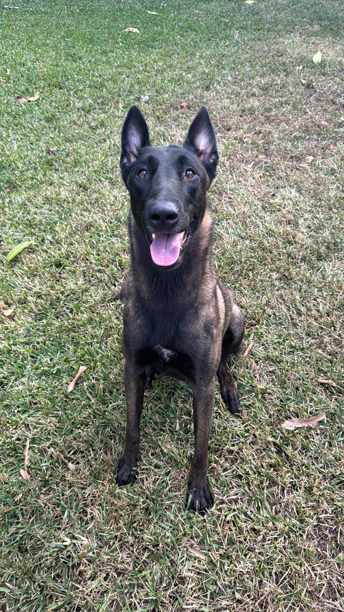 mckinley_1 snapchat image archive image