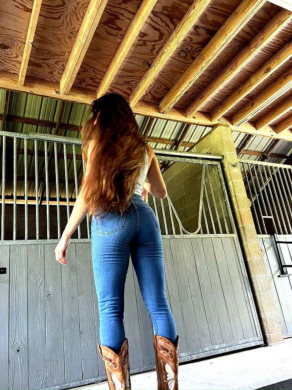 mckinley_1 image ~ Altpins