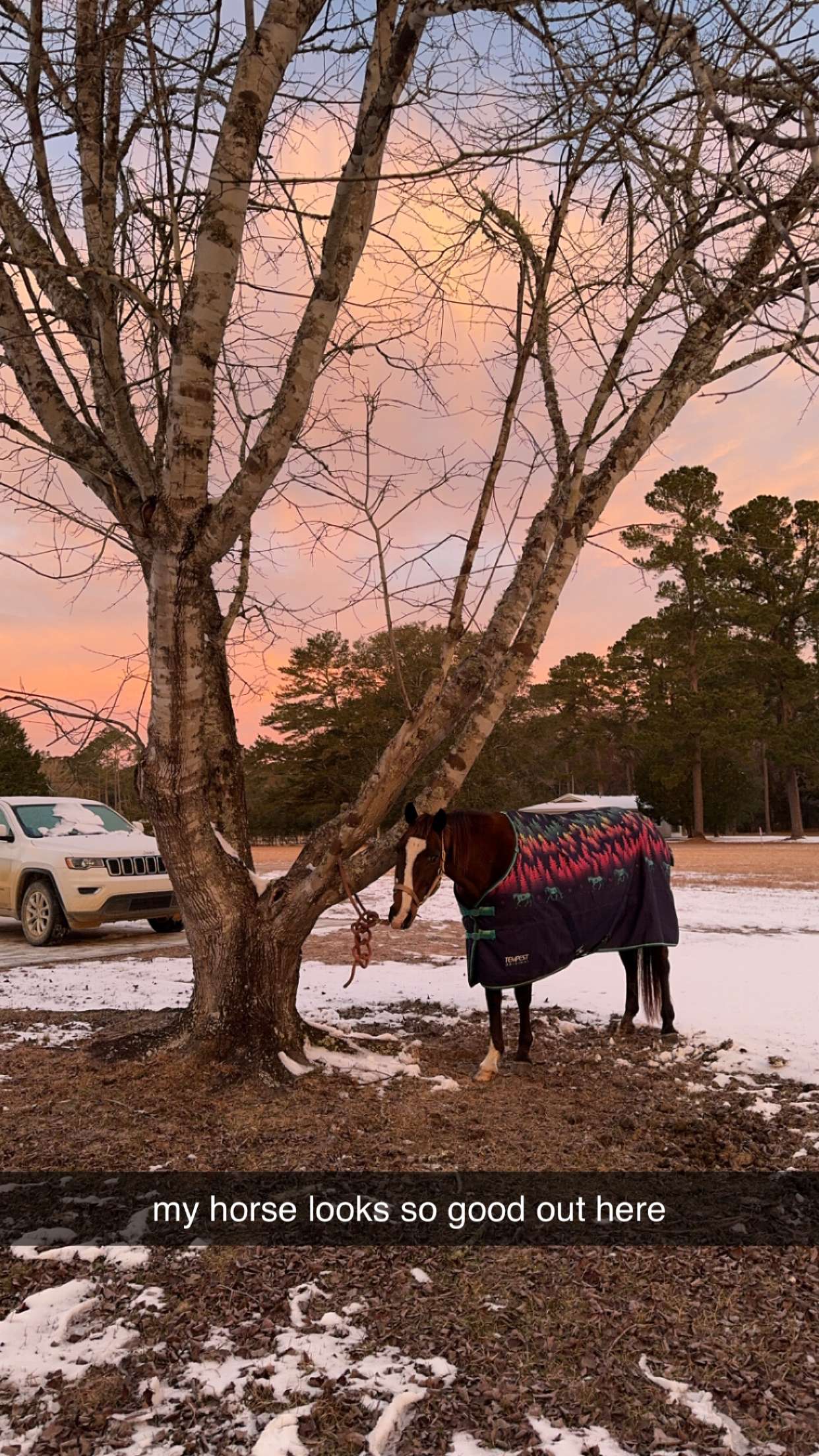 mckinley_1 snapchat image archive image