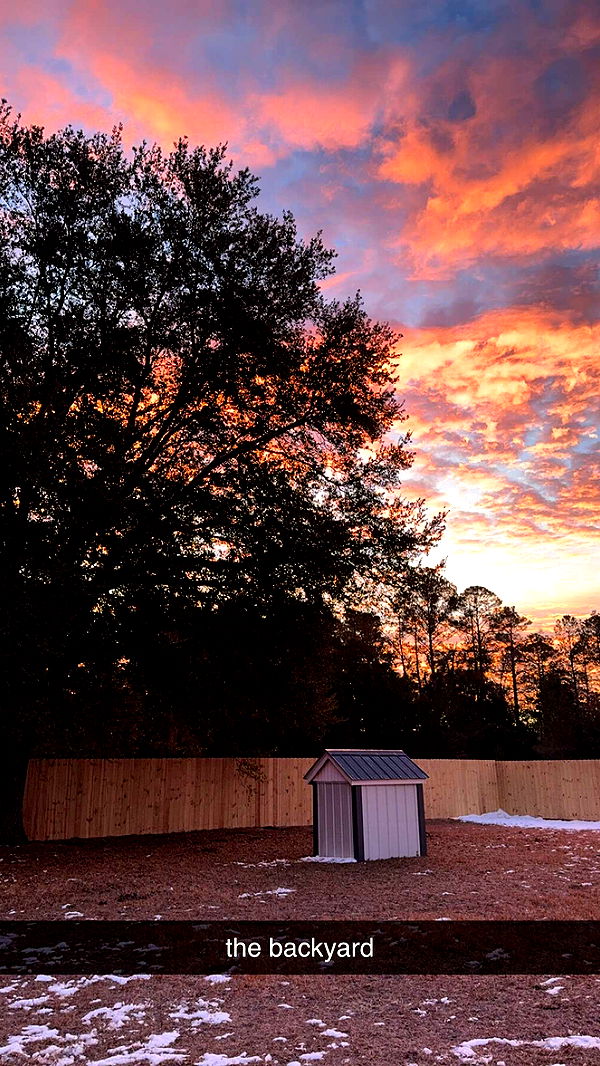 mckinley_1 image ~ Altpins