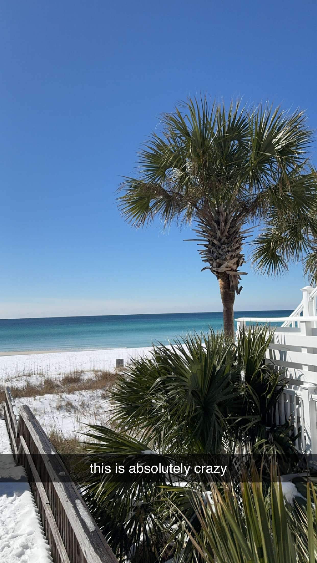 mckinley_1 snapchat image archive image