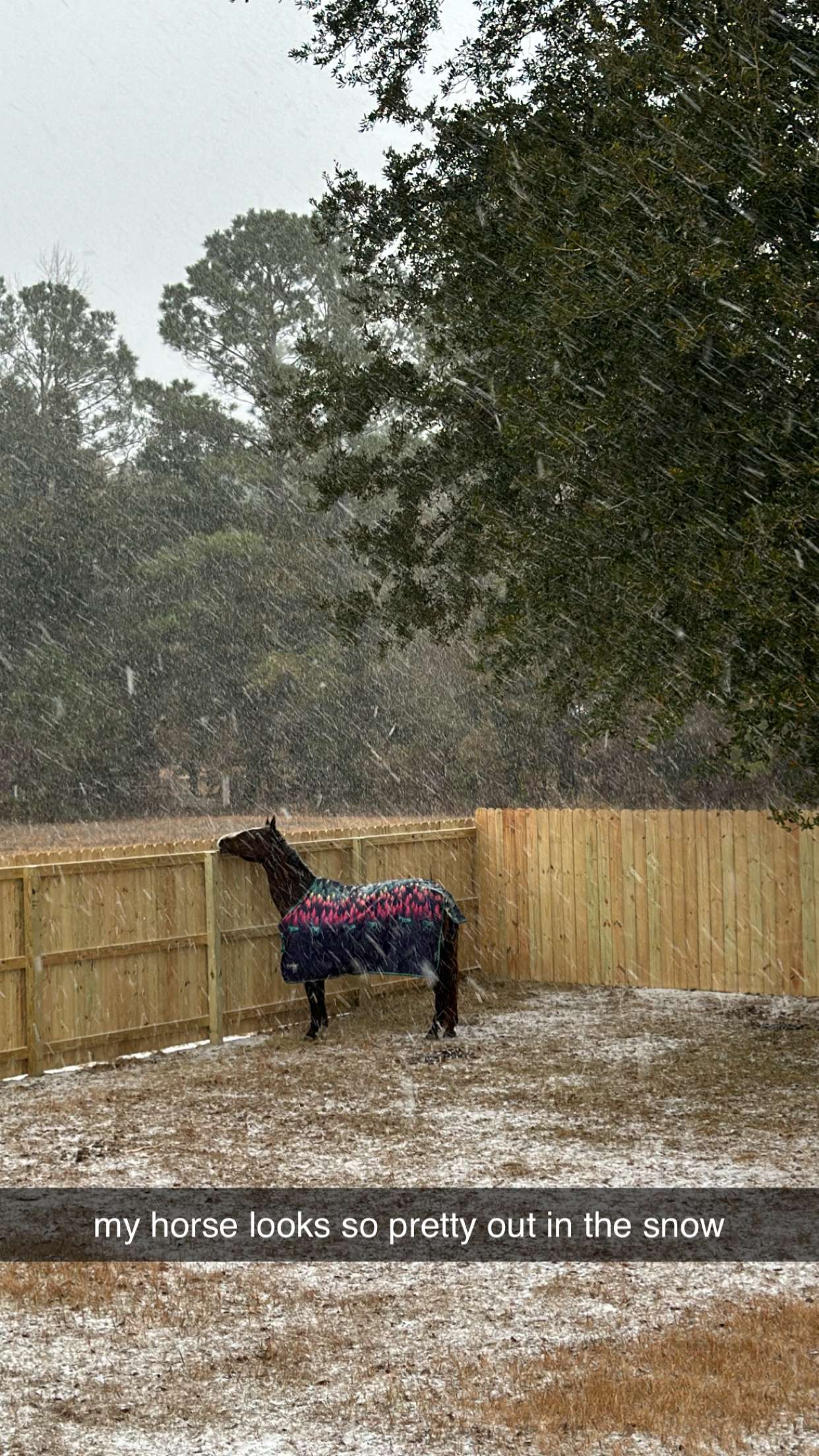 mckinley_1 snapchat image archive image