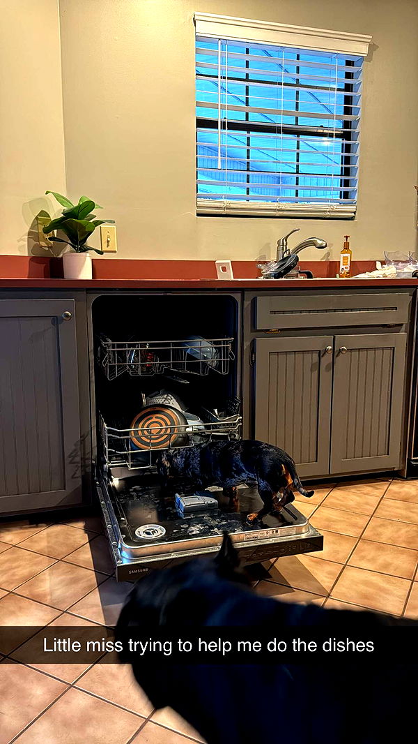 mckinley_1 image ~ Altpins