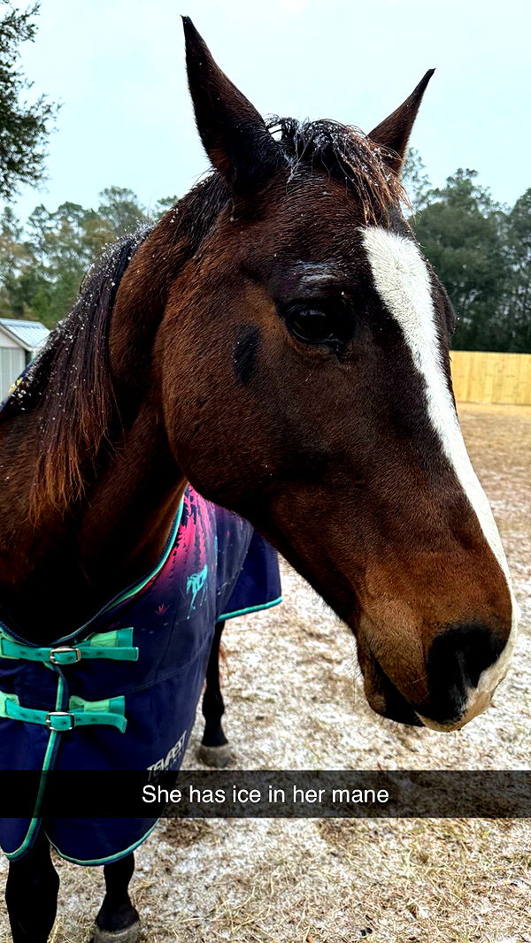 mckinley_1 image ~ Altpins