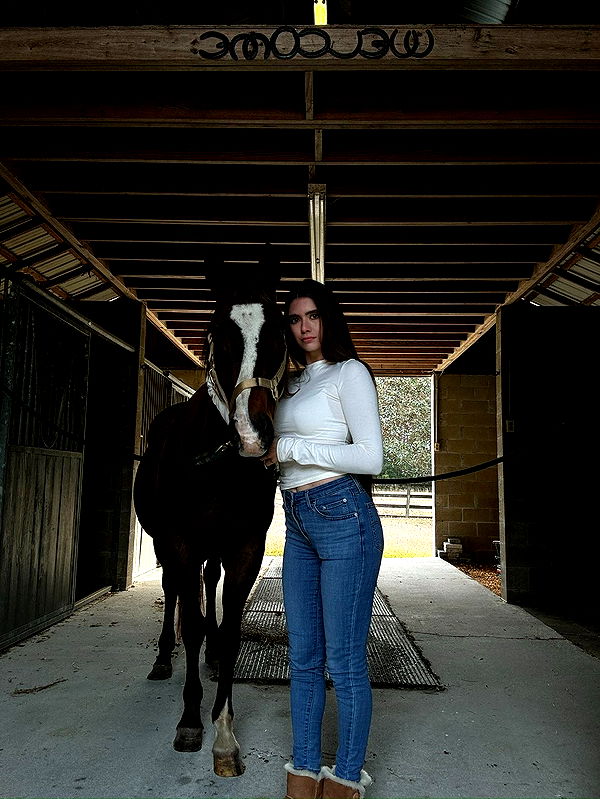 mckinley_1 image ~ Altpins