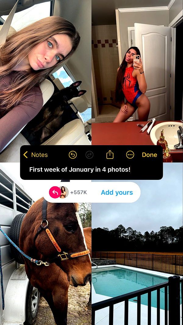 mckinley_1 image ~ Altpins