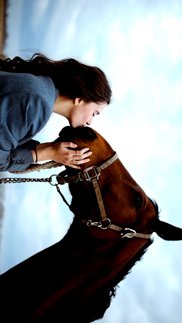 mckinley_1 image ~ Altpins