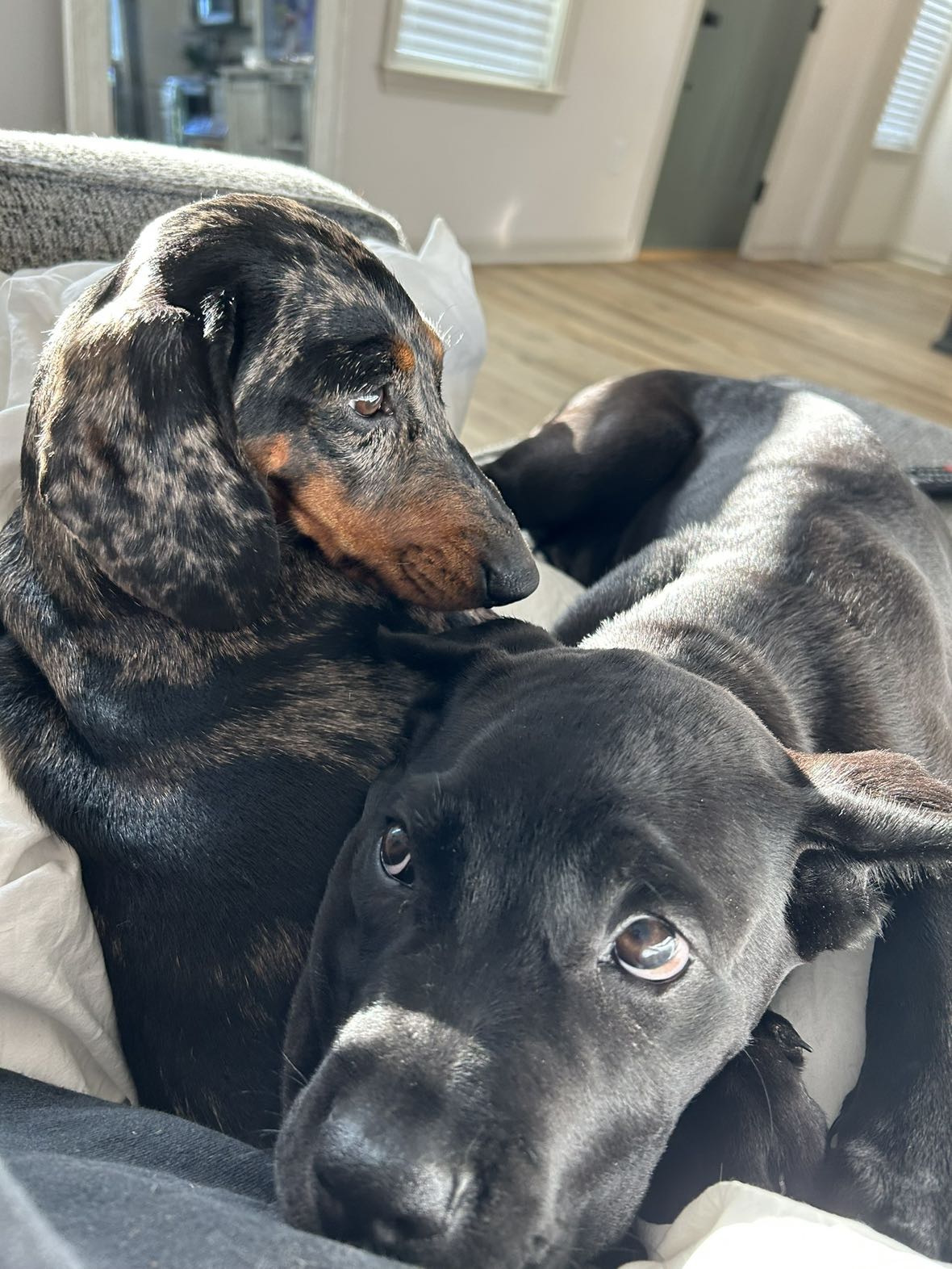 mckinley_1 snapchat image archive image