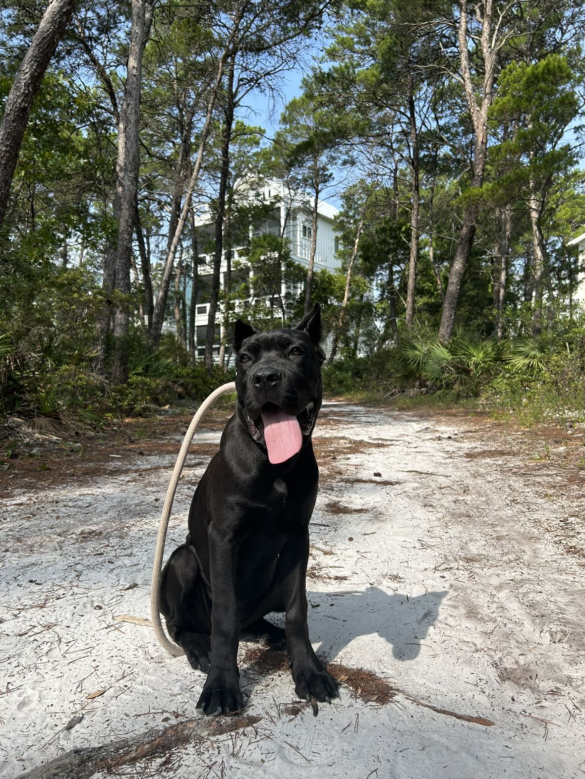 mckinley_1 snapchat image archive image