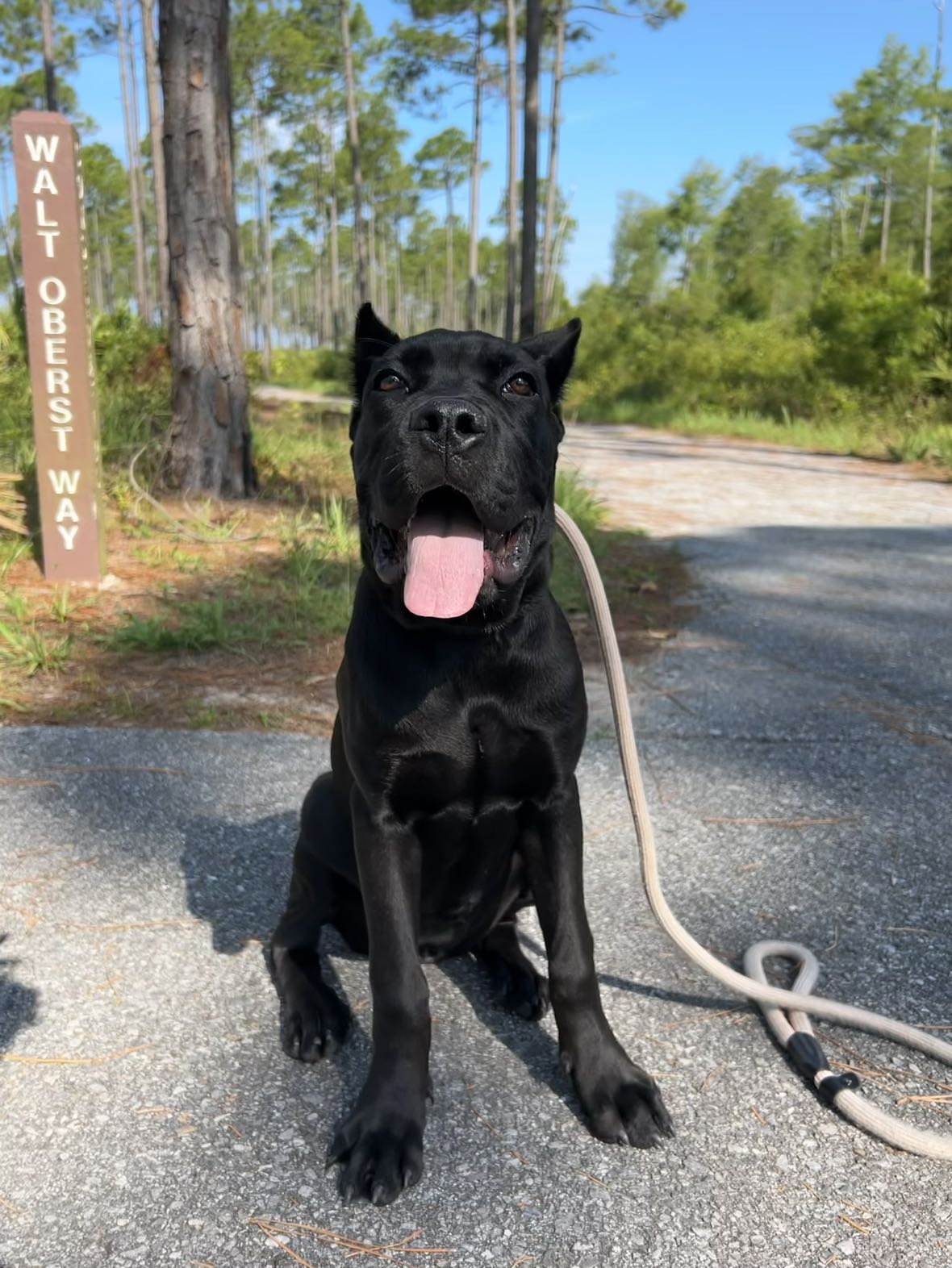 mckinley_1 snapchat image archive image