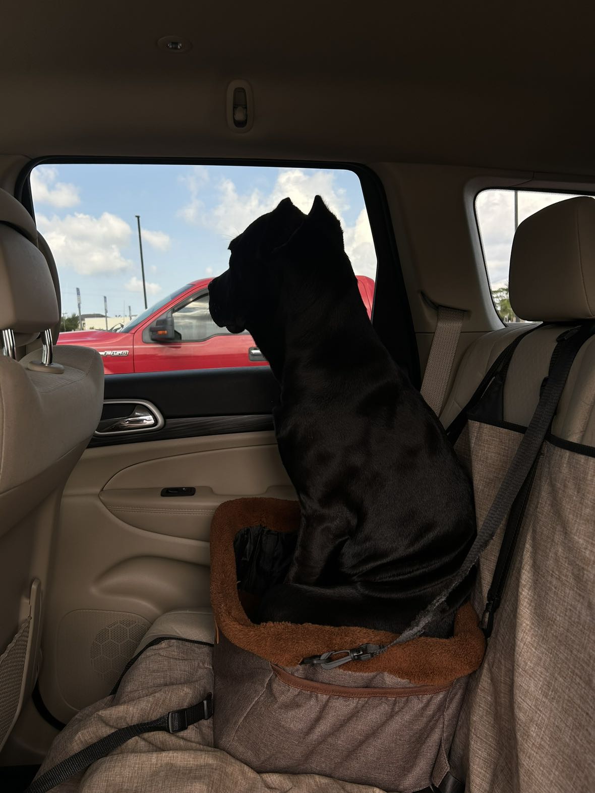 mckinley_1 snapchat image archive image