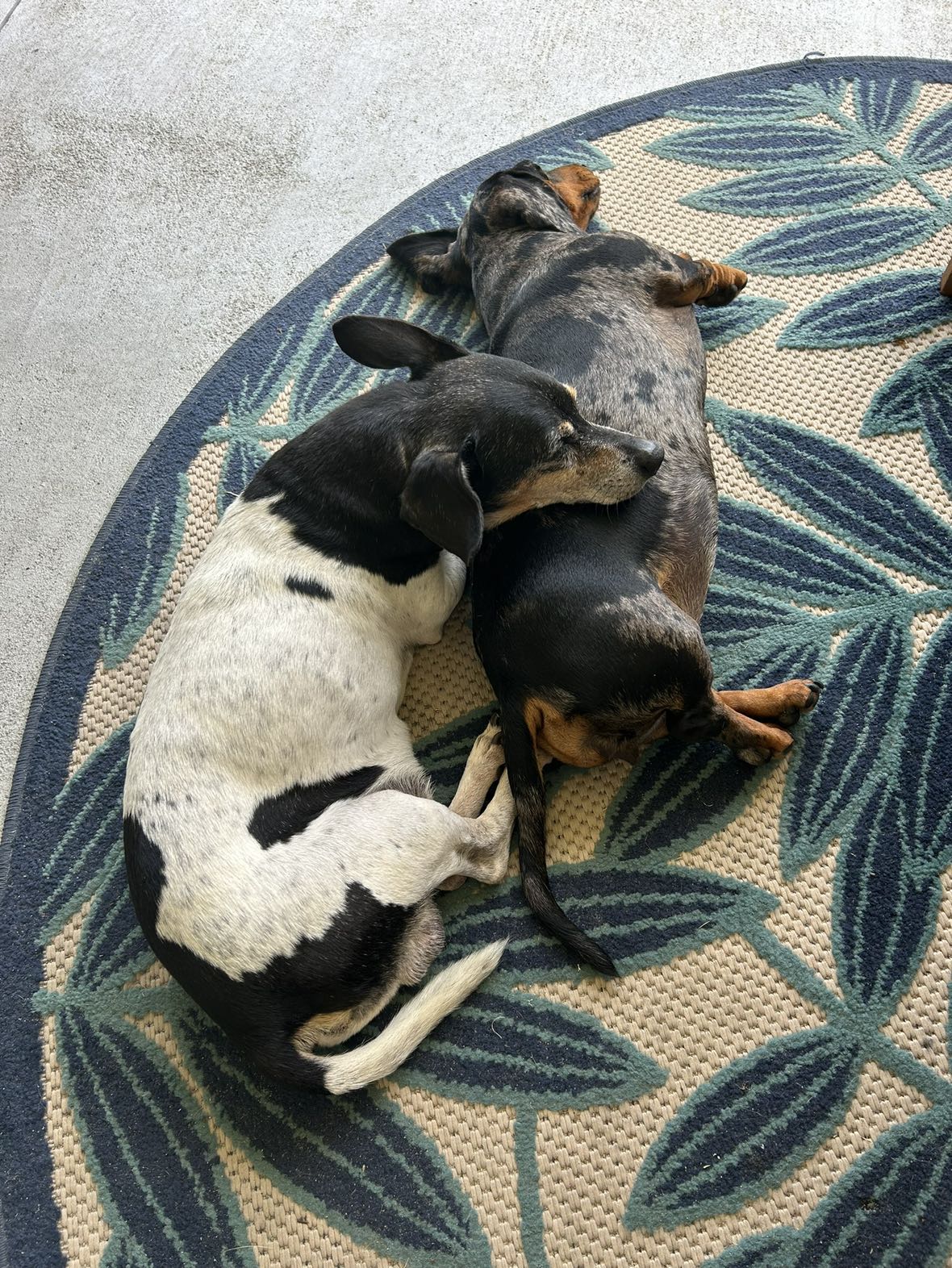 mckinley_1 snapchat image archive image