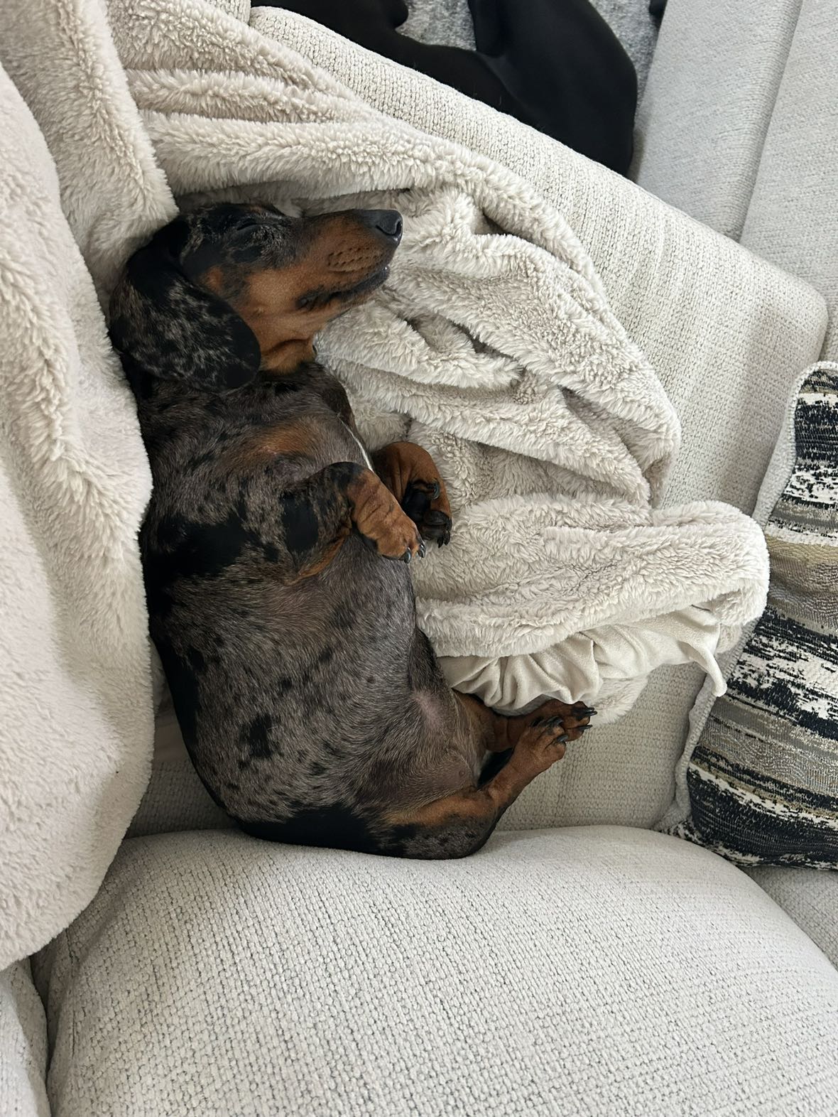 mckinley_1 snapchat image archive image