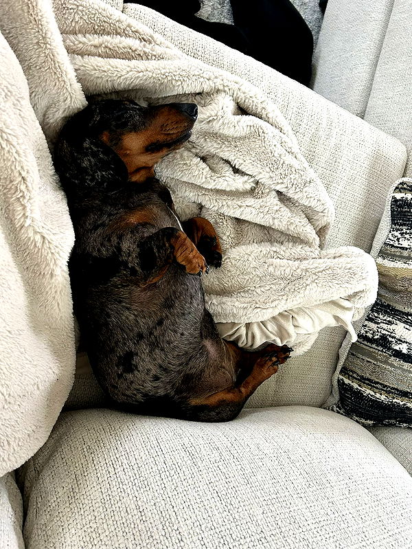 mckinley_1 image ~ Altpins