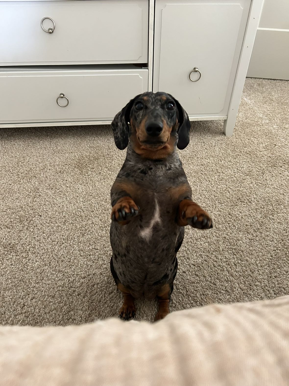 mckinley_1 snapchat image archive image