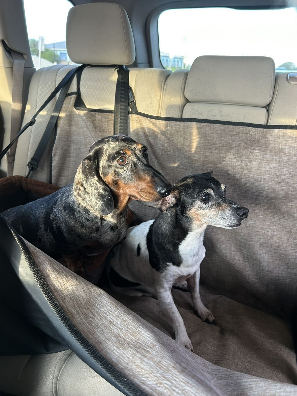 mckinley_1 snapchat image archive image