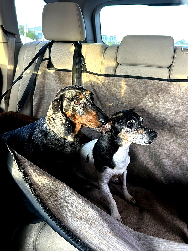 mckinley_1 image ~ Altpins