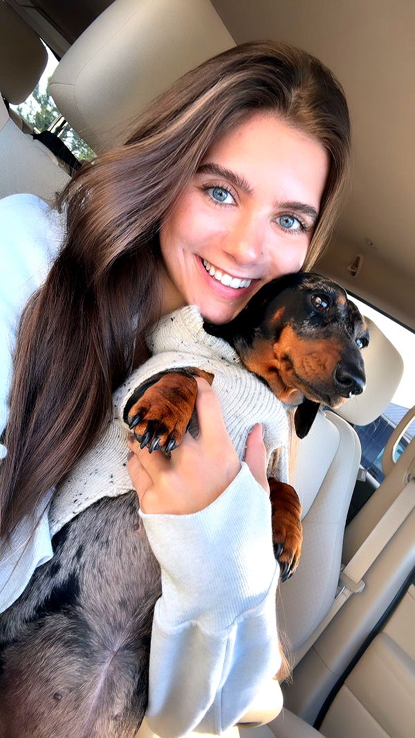 mckinley_1 image ~ Altpins