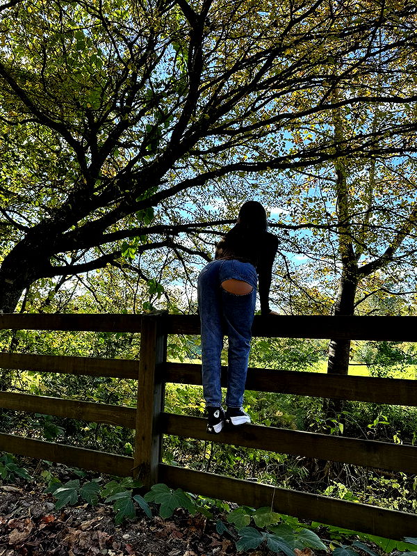 mckinley_1 image ~ Altpins