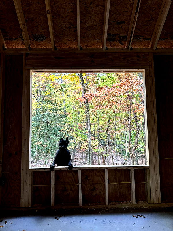 mckinley_1 image ~ Altpins