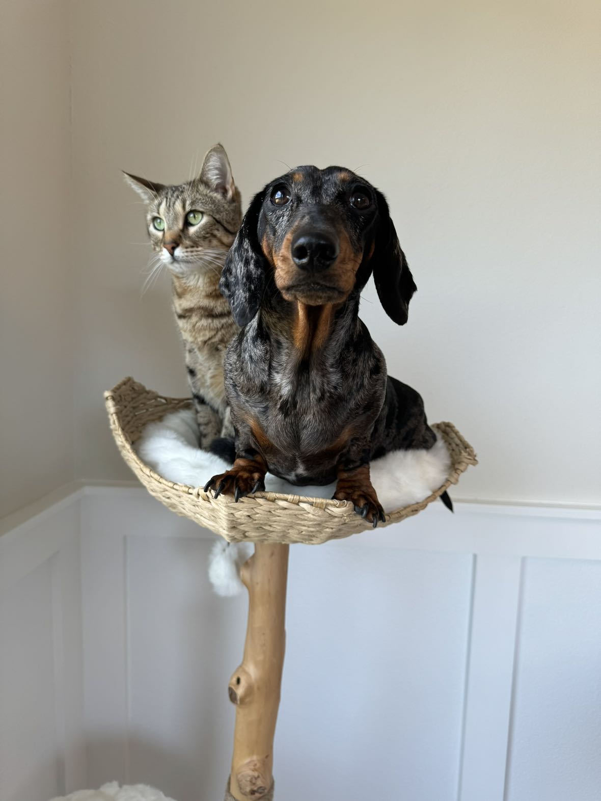 mckinley_1 snapchat image archive image