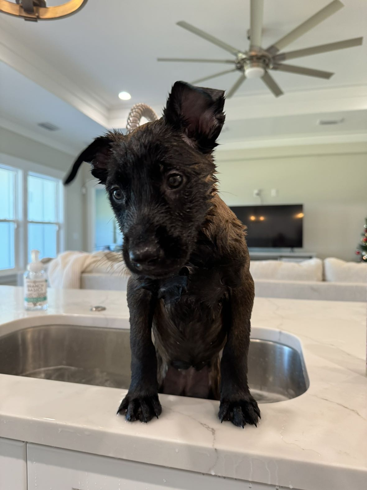 mckinley_1 snapchat image archive image