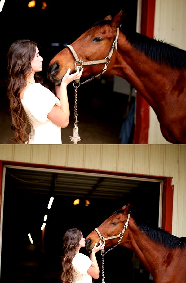 mckinley_1 image ~ Altpins