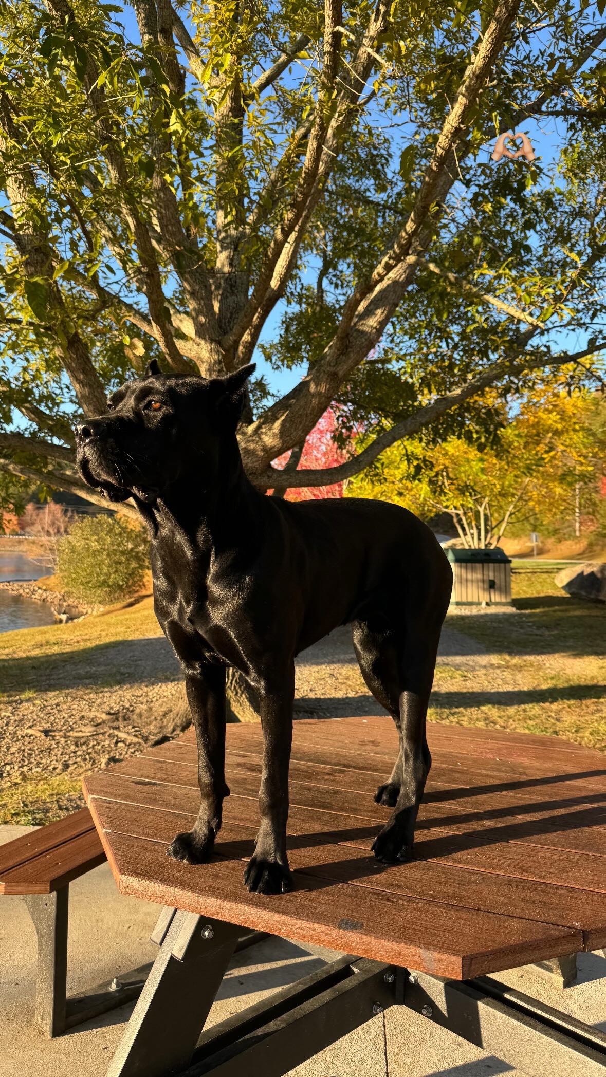 mckinley_1 snapchat image archive image