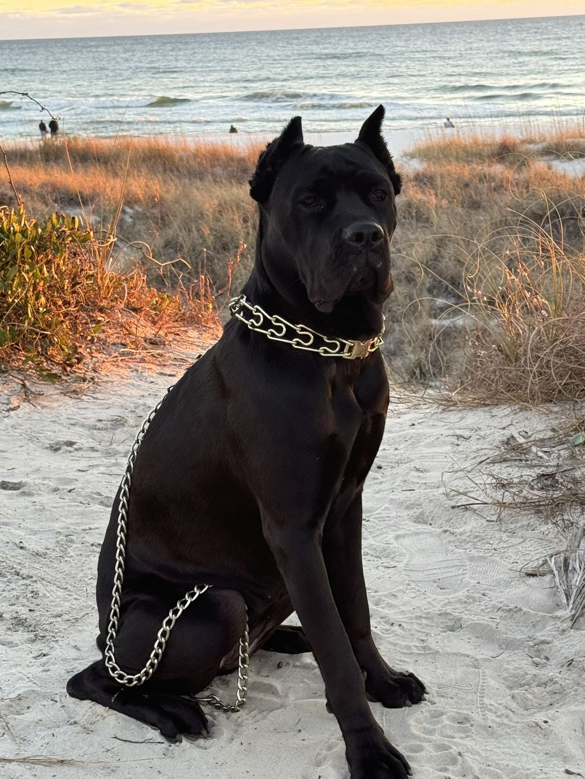 mckinley_1 snapchat image archive image