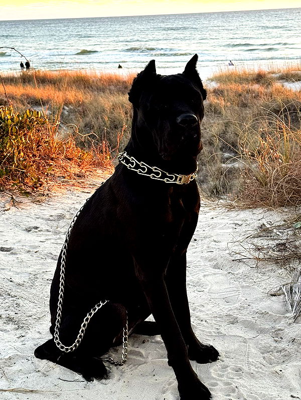 mckinley_1 image ~ Altpins