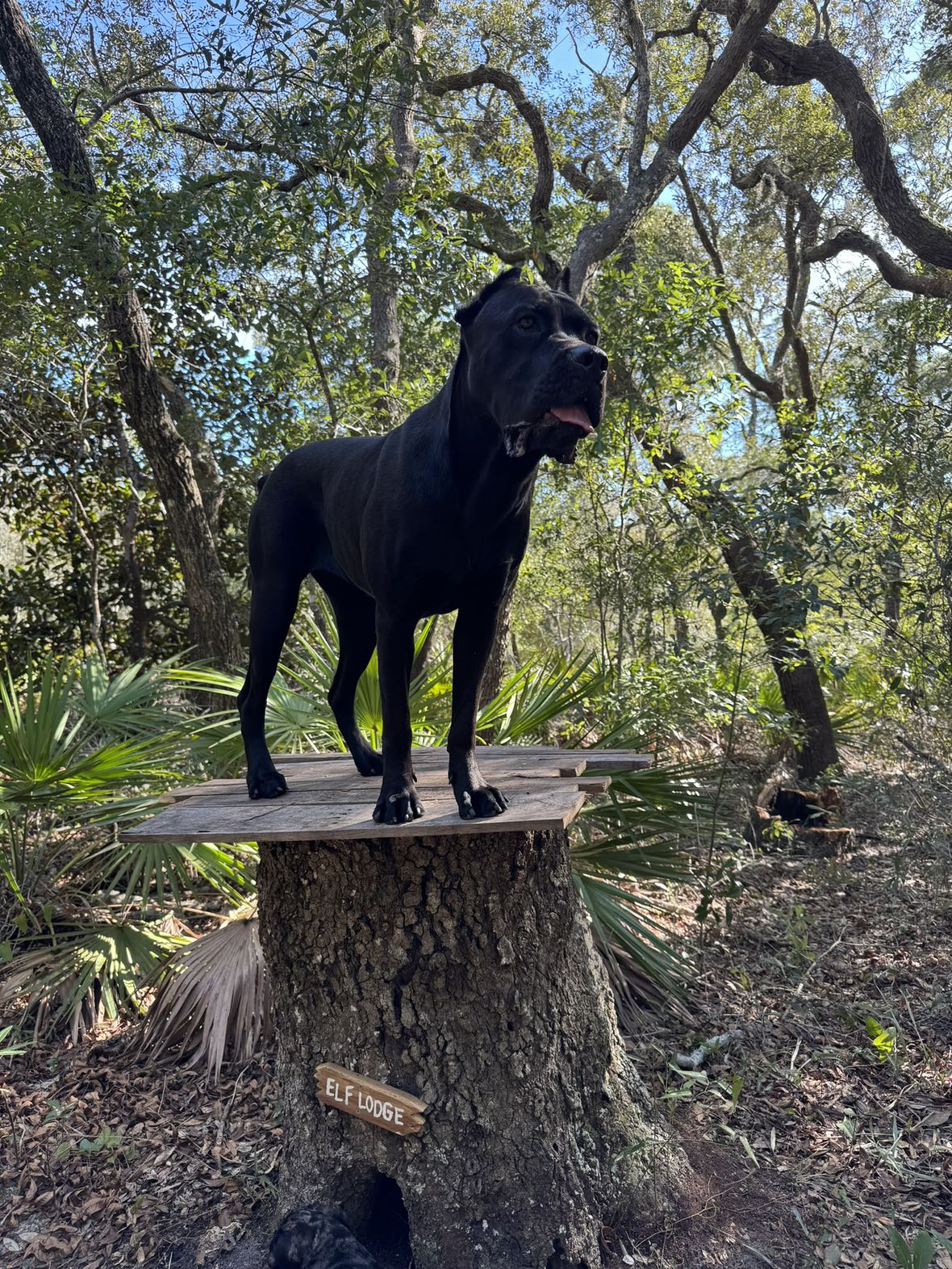 mckinley_1 snapchat image archive image