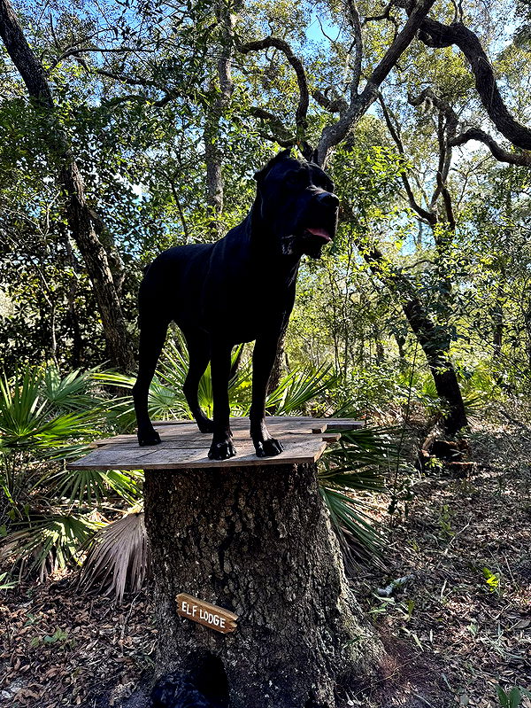 mckinley_1 image ~ Altpins