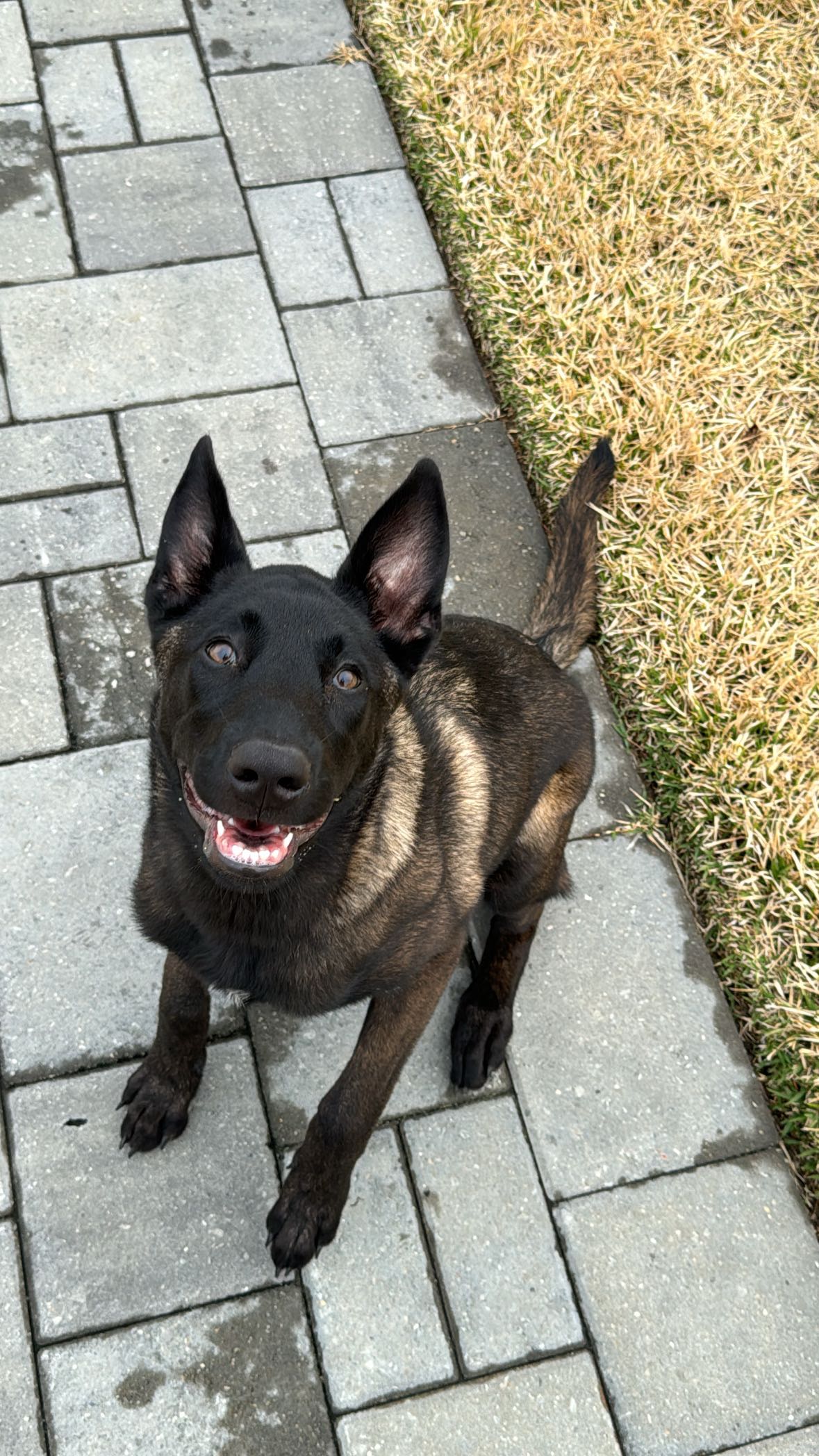 mckinley_1 snapchat image archive image