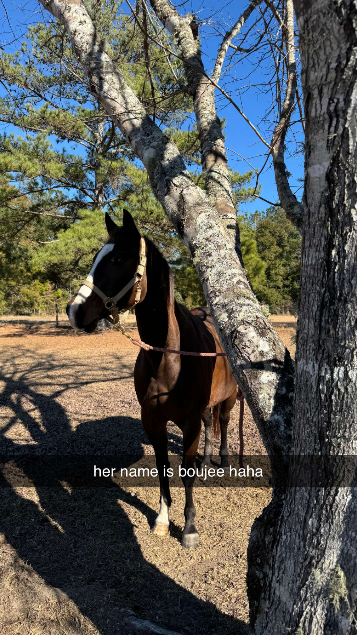 mckinley_1 snapchat image archive image