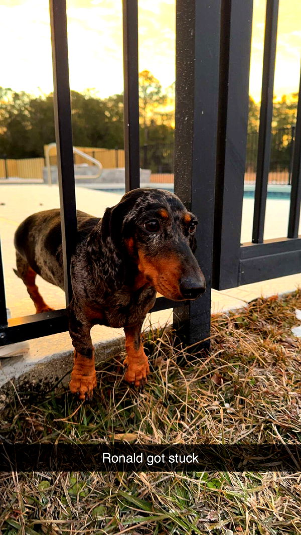 mckinley_1 image ~ Altpins