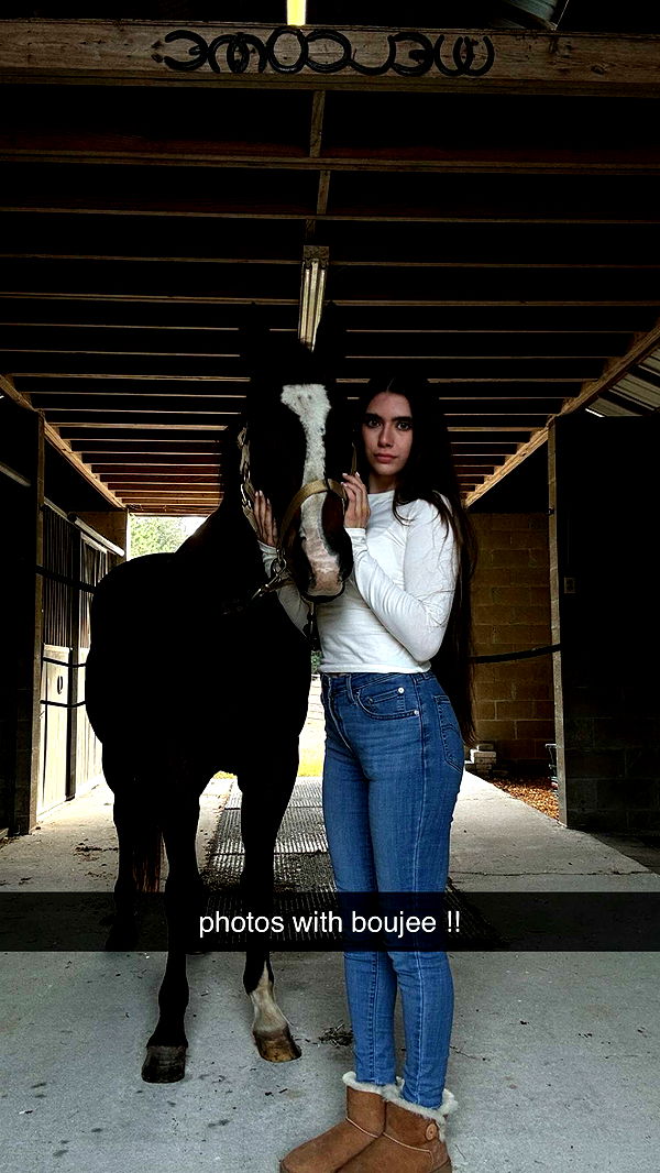 mckinley_1 image ~ Altpins