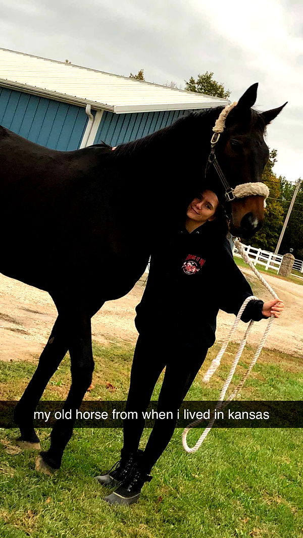 mckinley_1 image ~ Altpins