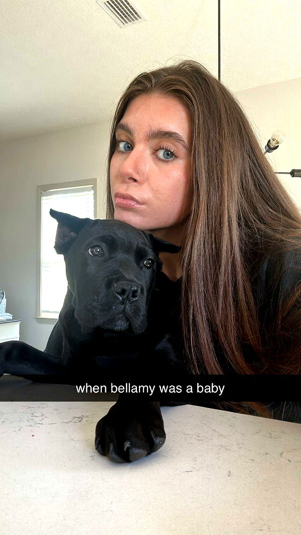 mckinley_1 image ~ Altpins